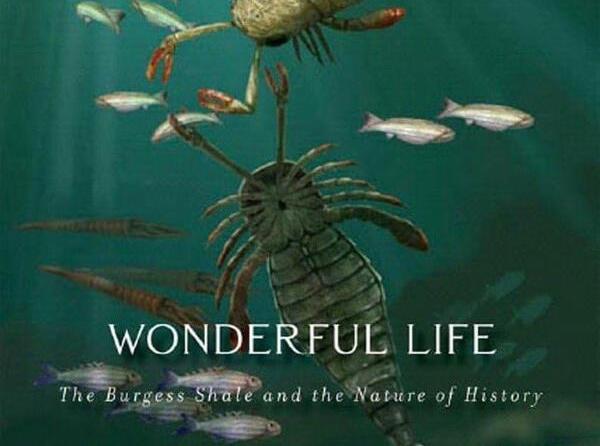 SAT考試備考書單-《Wonderful Life: The Burgess Shale and the Nature of History》
